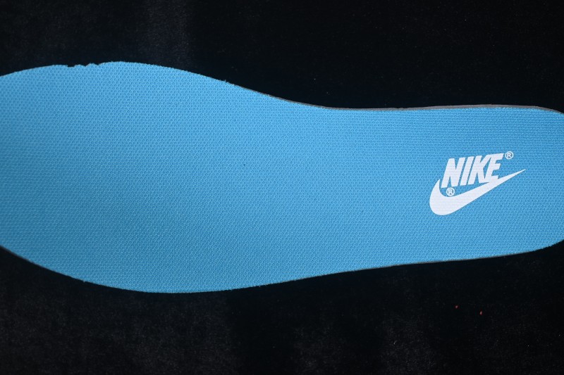Nike SB Dunk Low Skateboarding Shoes with Cushioned Collar - WR0508-186