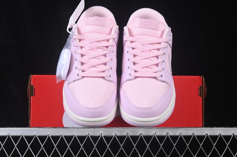 Nike SB Dunk Low Low-Top Casual Skate Shoes - HJ5870-600
