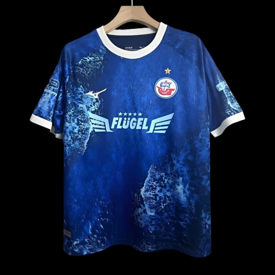 24/25 Hansa Rostock Baltic Sea special Jersey